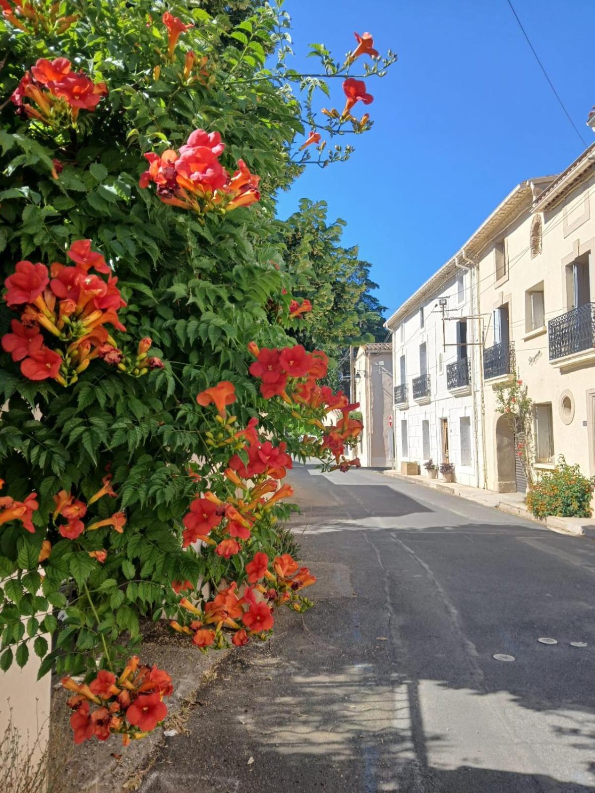 L'Oostaloo Logement De Vacances Usclas-l'Herault Экстерьер фото